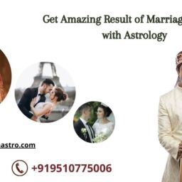 best astrologer in Gujarat