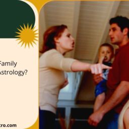 family problem solution astrologer Gujarat