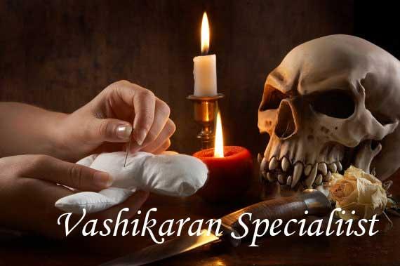 vashikaran specialist astrologer